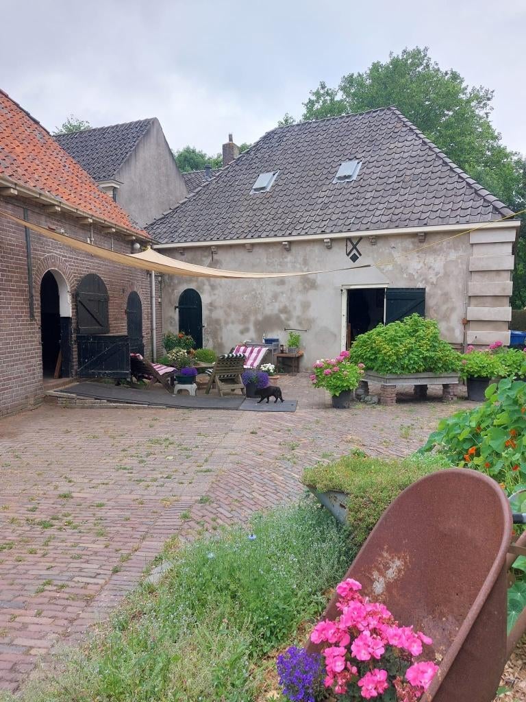 Fijne ruime stal te huur. Voorlopig staan wij vol., Dieren en Toebehoren, Stalling en Weidegang, Weidegang