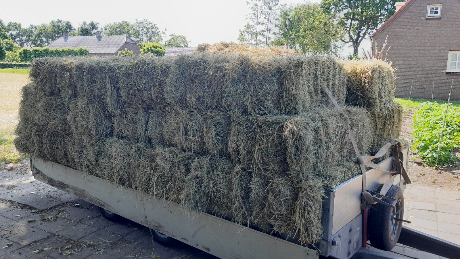 Hooi €5 per pak, Tuin en Terras, Ophalen, Nieuw