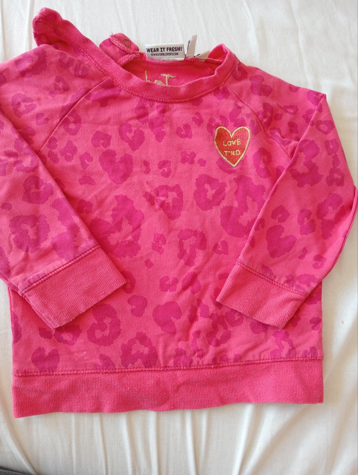 Rose Sweater zgan met printje maat 80, Kinderen en Baby's, Babykleding | Maat 80, Ophalen of Verzenden, Zo goed als nieuw, Meisje