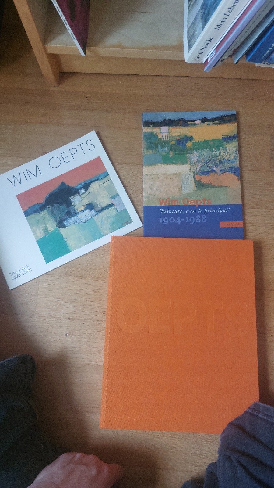 Willem Anthonie Oepts Monografie en Oeuvrecatalogus, Boeken, Ophalen of Verzenden, Zo goed als nieuw, Overige onderwerpen, Willem Anthonie Oepts