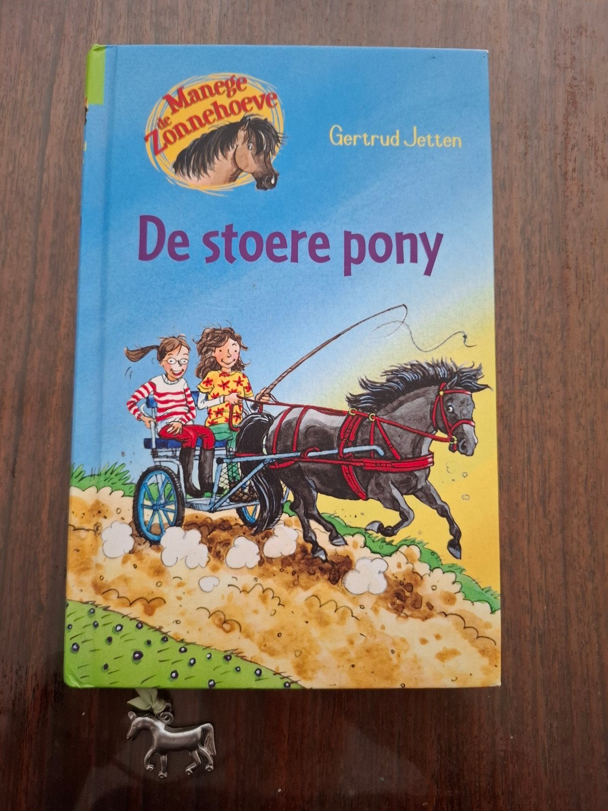 Manege Zonnehoeve - De stoere pony - Gertrude Jetten, Ophalen of Verzenden, Zo goed als nieuw, Gertrud Jetten, Fictie algemeen
