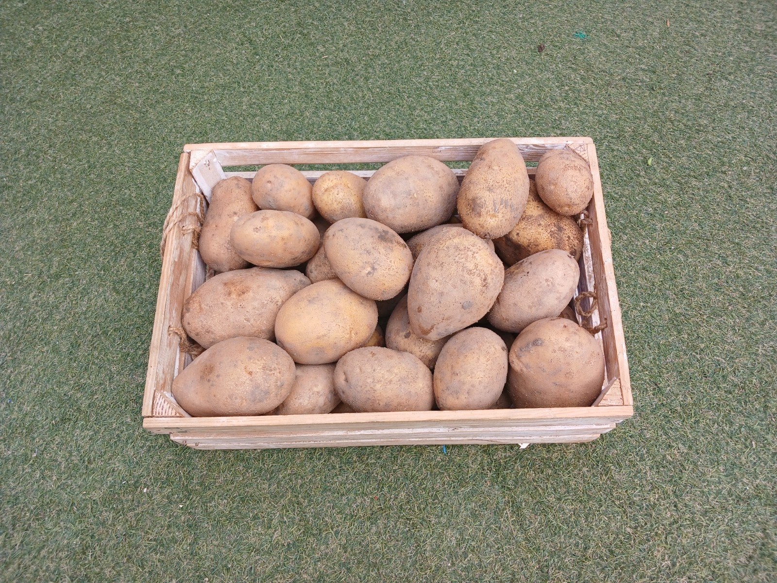 Aardappels, Ophalen of Verzenden