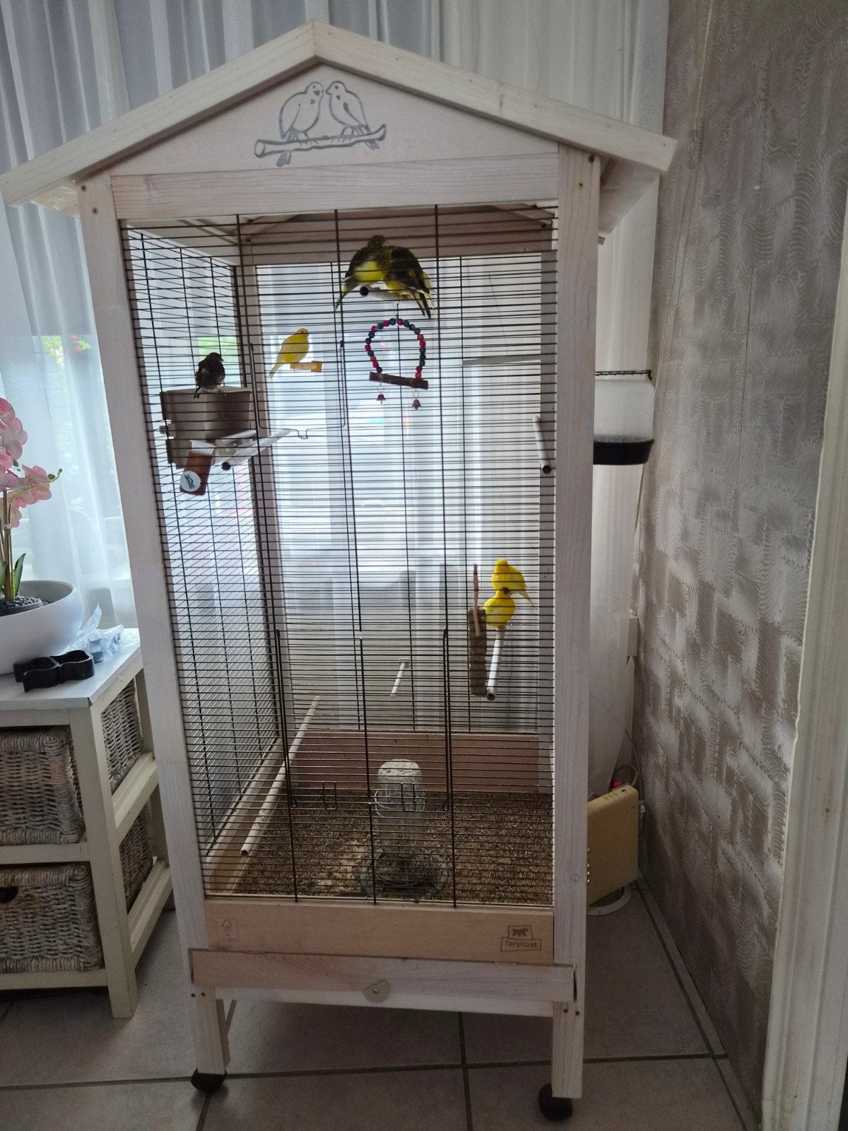 vogel voiliere met 7 kanaries, Ophalen, Gebruikt, Hout, Volière