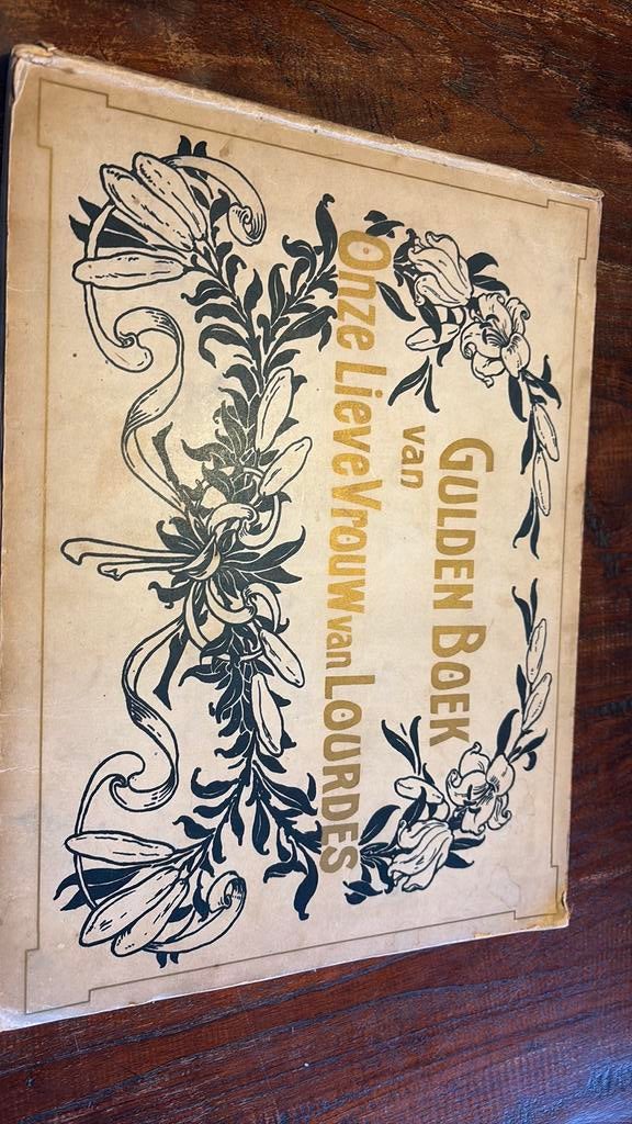 Boek lourdes 25 jaar bestaan maria Bernadette, Ophalen of Verzenden, Boek