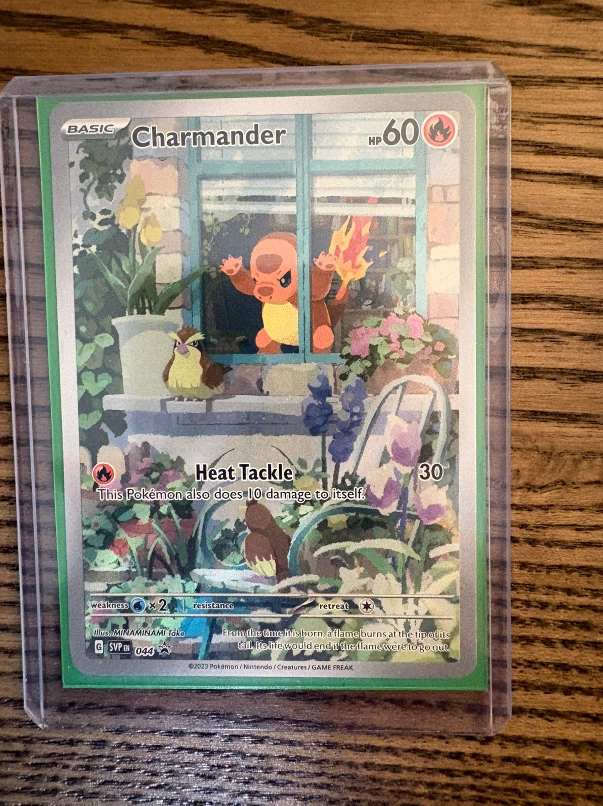 Pokémon- Charmander (SVP 044) SV Black Star Promos, Ophalen of Verzenden, Nieuw, Foil