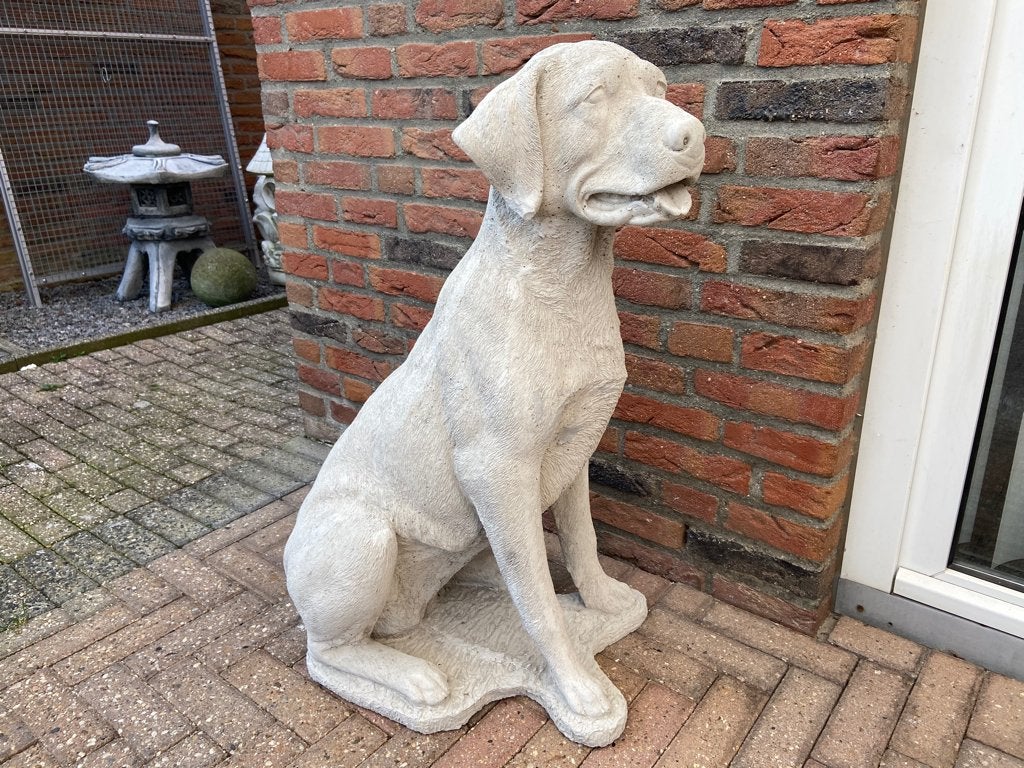 Labrador , hoogte 85cm, Tuin en Terras, Tuinbeelden, Nieuw, Dierenbeeld, Beton, Ophalen