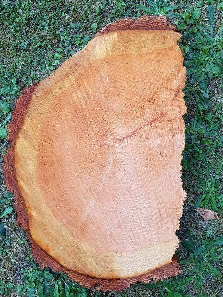 Boomschijf, Hobby en Vrije tijd, Ophalen, Gereedschap of Toebehoren