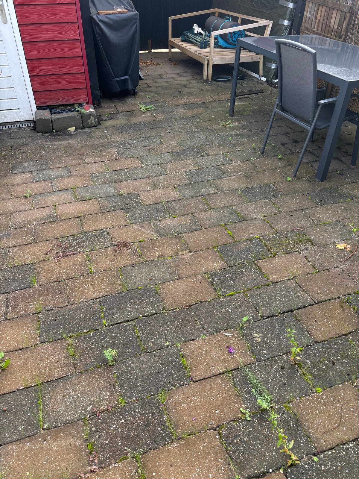 Ongeveer 600 tegels 20 bij 30, ongeveer 35-36m2, Ophalen, Gebruikt, 10 m² of meer, Beton