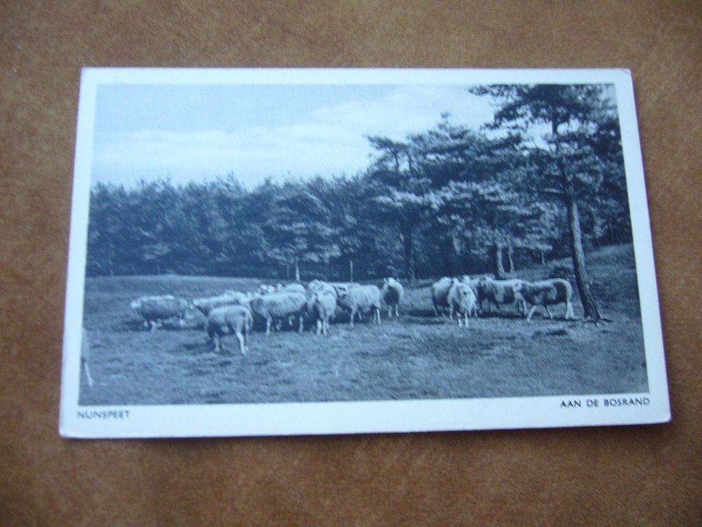 NUNSPEET  =  AAN DE BOSRAND, Verzenden, 1920 tot 1940, Ongelopen, Gelderland