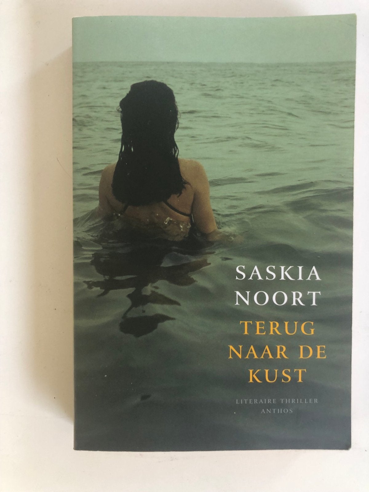 Terug naar de kust - Saskia Noort (Literaire thriller), Ophalen of Verzenden, Gelezen, Nederland