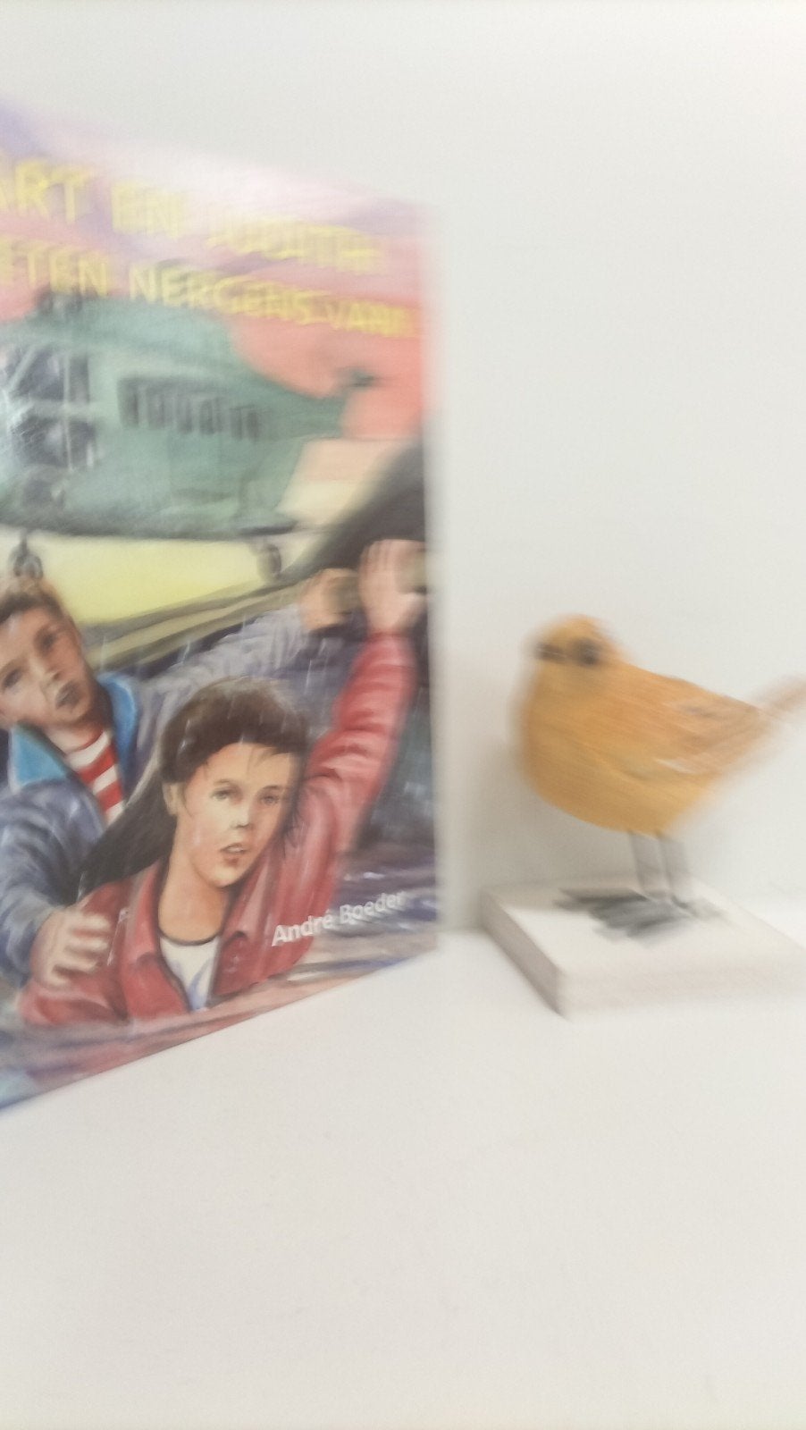 Boeder, Andre; Bart en Judith weten nergens van, Ophalen of Verzenden, Gelezen