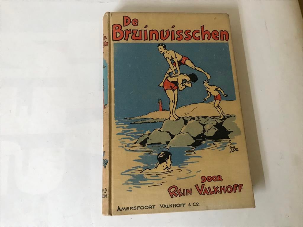 De Bruinvisschen Rein Valkhoff. Eerste druk., Ophalen of Verzenden, Gelezen, Fictie