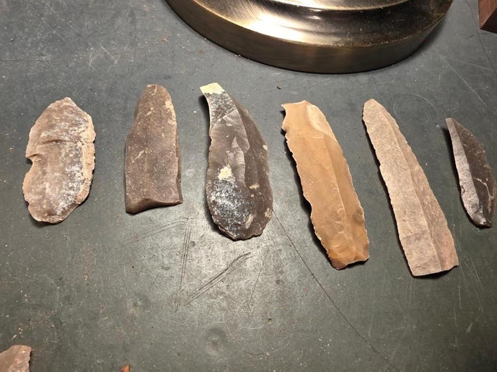 Kling stekers rugmes, Ophalen of Verzenden