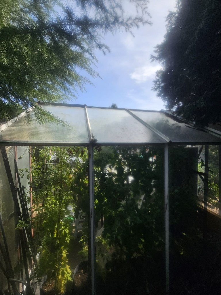 Gratis Glazen Tuinkas 3 x 2,5m, Tuin en Terras, Kassen, Gebruikt, Kweekkas, Glas, Ophalen