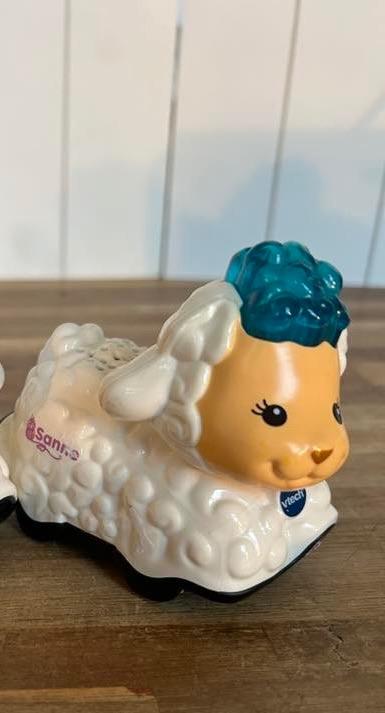 Vtech Zoef Zoef Sanne Schaap, Ophalen of Verzenden, Gebruikt, 6 maanden tot 2 jaar