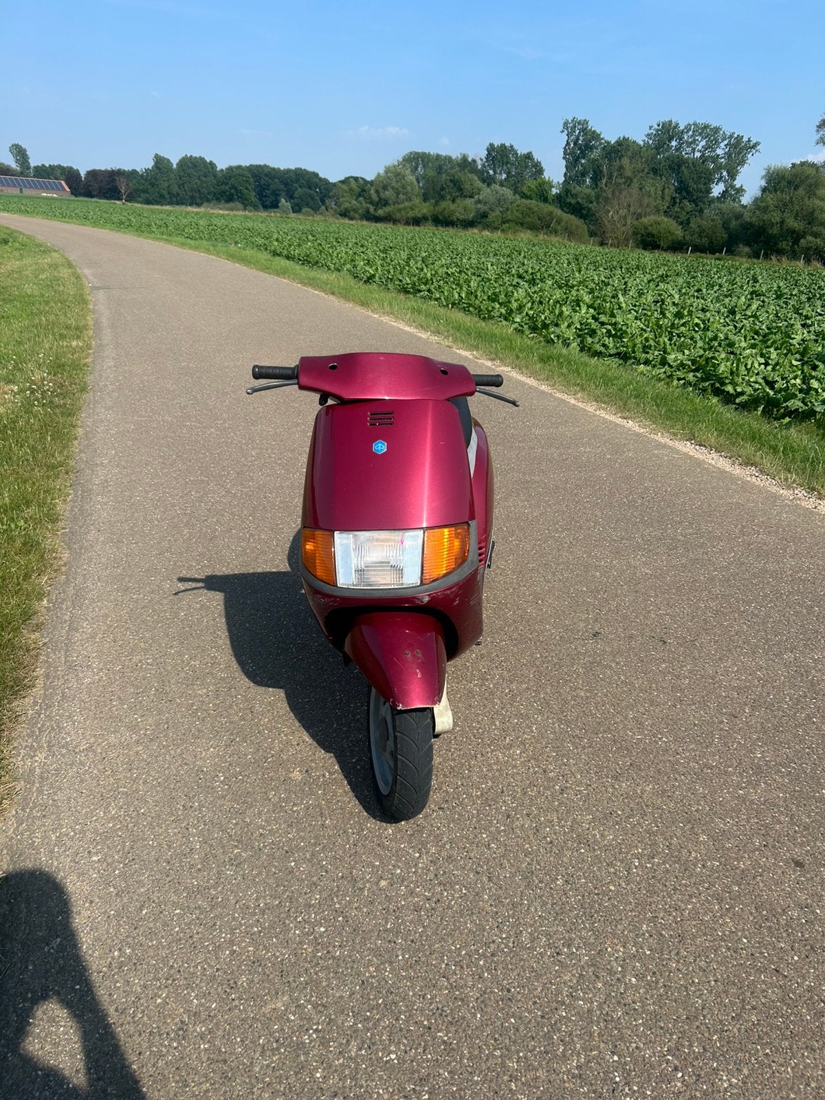 Piaggio sfera 50cc, Ophalen, Zo goed als nieuw, Benzine, Overige modellen