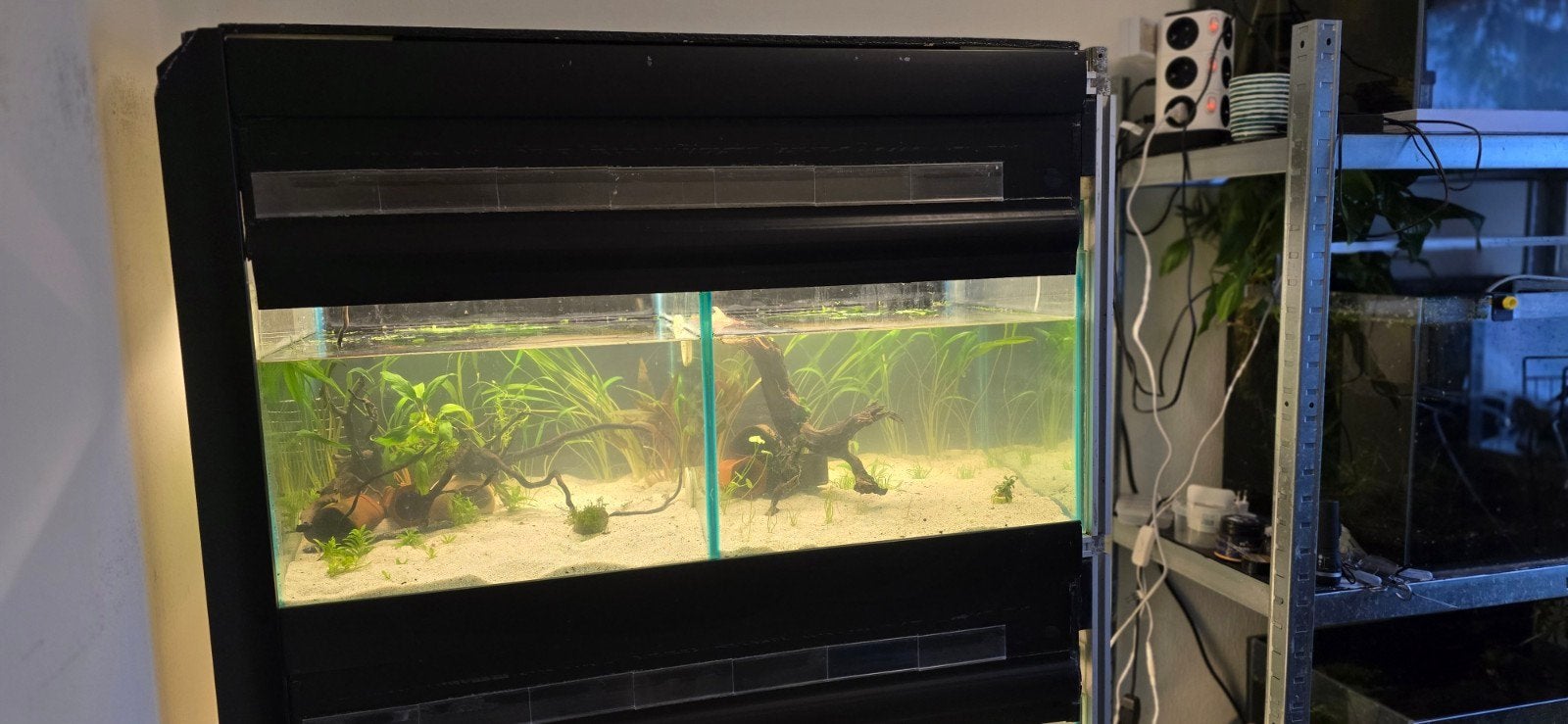 aquariumstelling, Ophalen, Gebruikt, Leeg aquarium