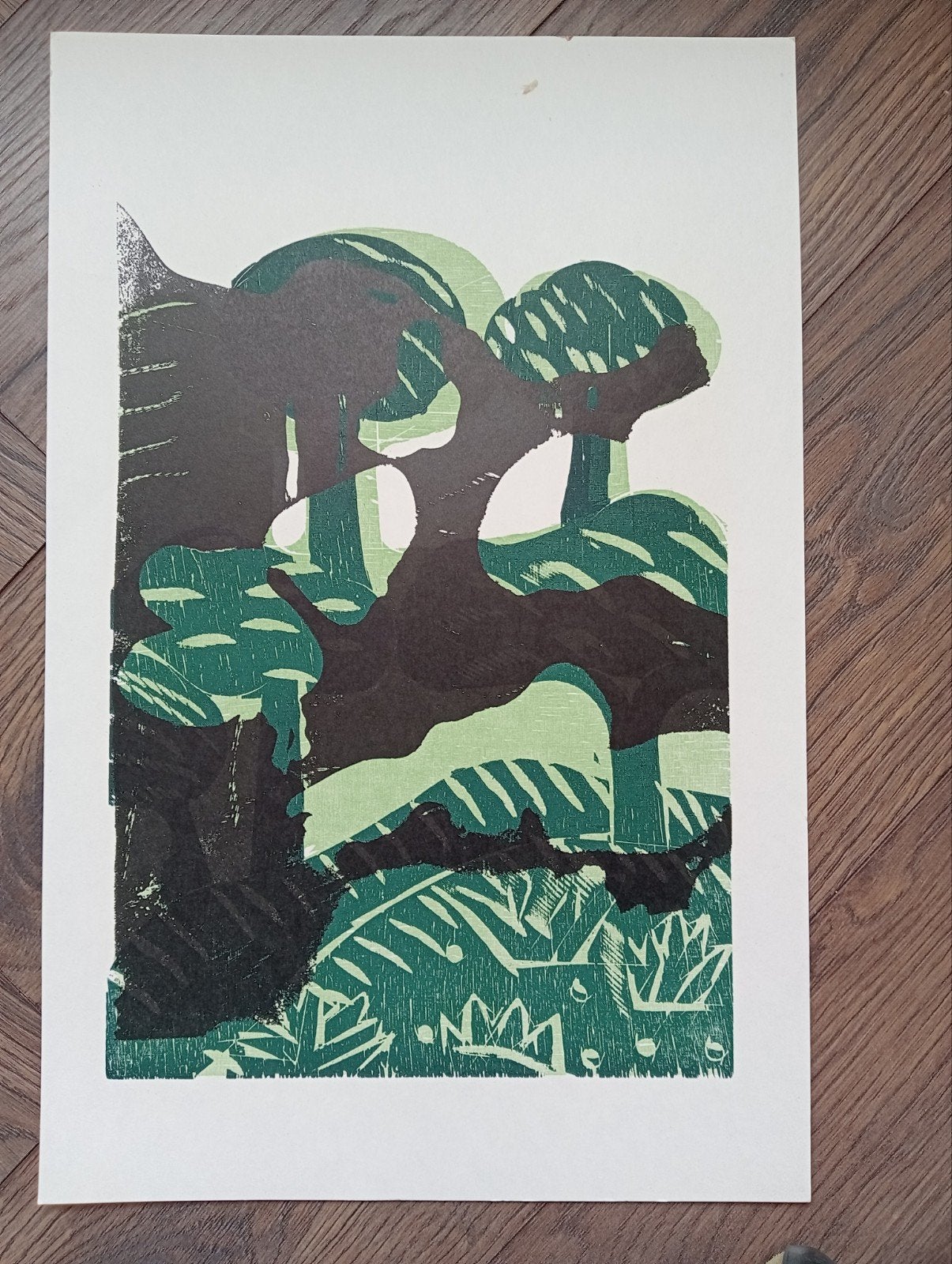 Litho Zeefdruk, Antiek en Kunst, Kunst | Litho's en Zeefdrukken, Ophalen of Verzenden