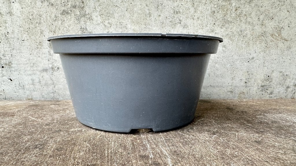 Bonsai kunststof training schaal pot Ø15x7cm (5*), Kunststof, Rond, Ophalen of Verzenden, Minder dan 40 cm