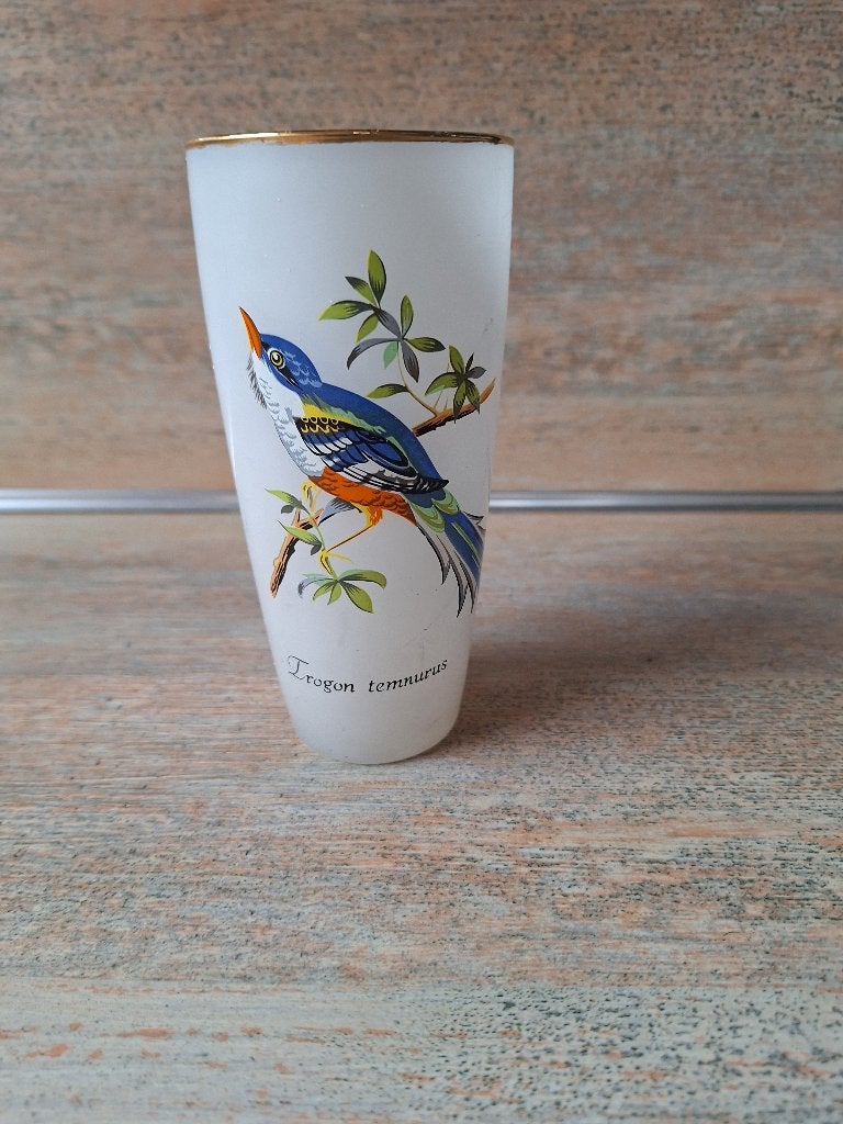 Trogon Temnurus Geschilderd Glas - 14 cm hoog, Ophalen