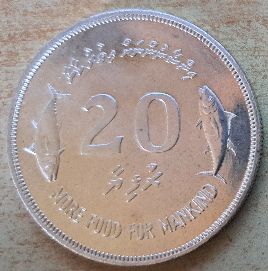 Malediven, 20 Rufiyaa 1977 - zilver, Ophalen of Verzenden, Zuid-Azië, Losse munt, Zilver