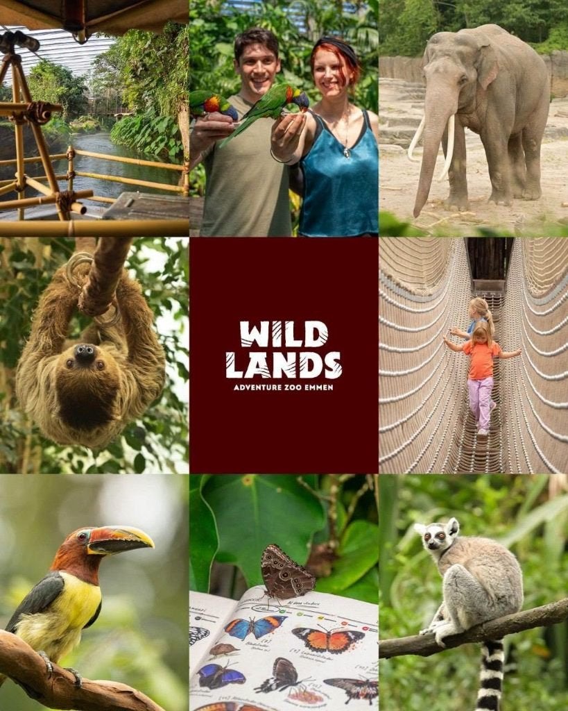 2 toegangskaarten voor Wildlands Adventure Zoo (30-4-2027), Twee personen, Ticket of Toegangskaart