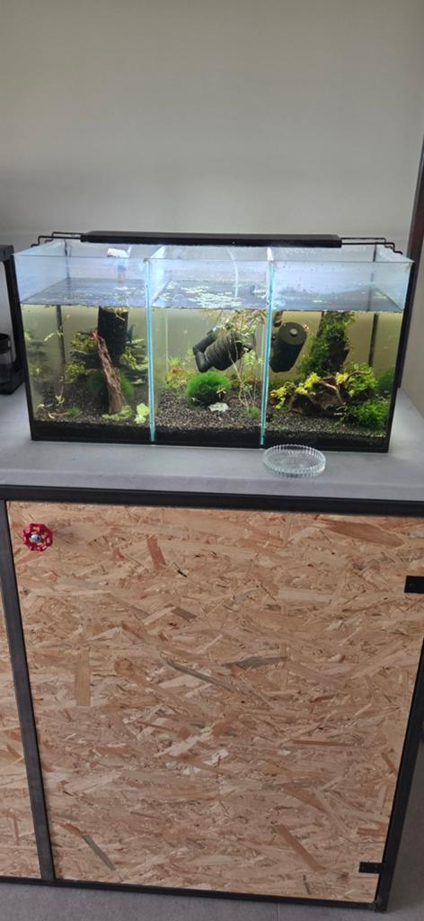 Garnalen aquarium set up 3x 20L, Ophalen