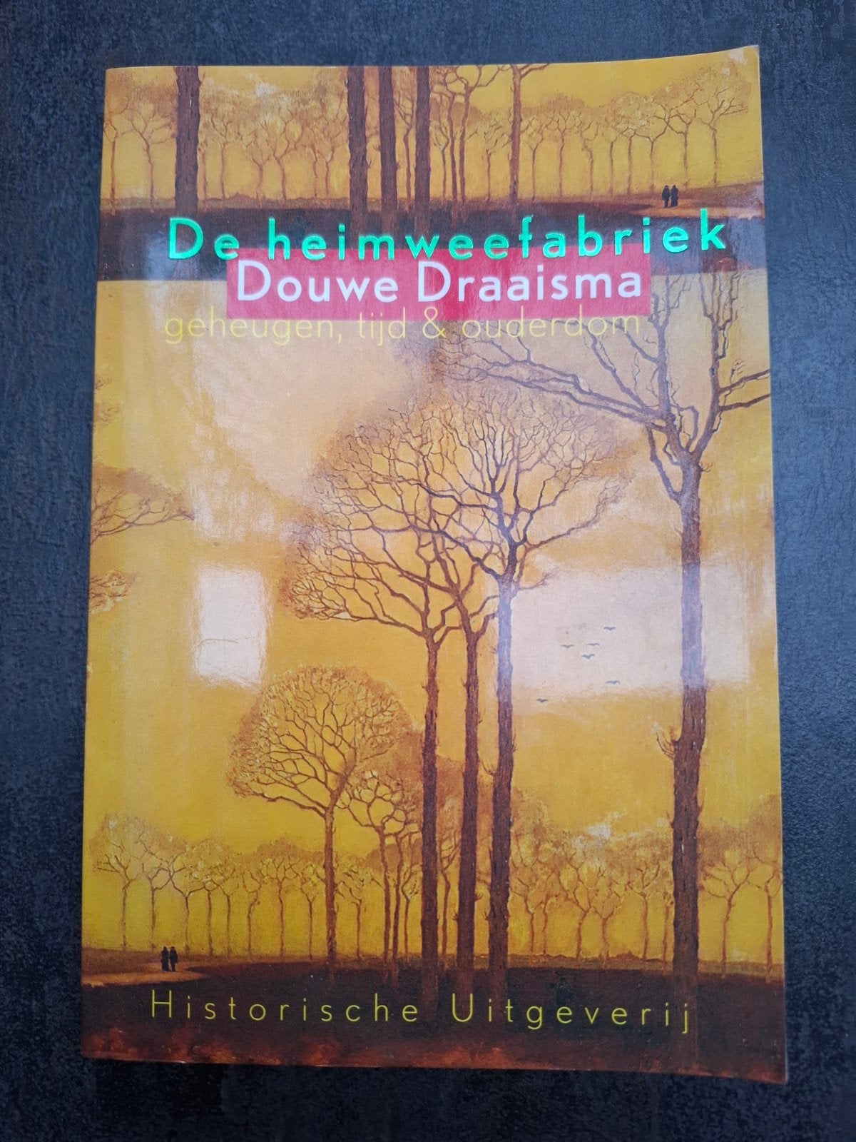 Douwe Draaisma - De heimweefabriek, Boeken, Douwe Draaisma, Ophalen of Verzenden, Ontwikkelingspsychologie, Zo goed als nieuw