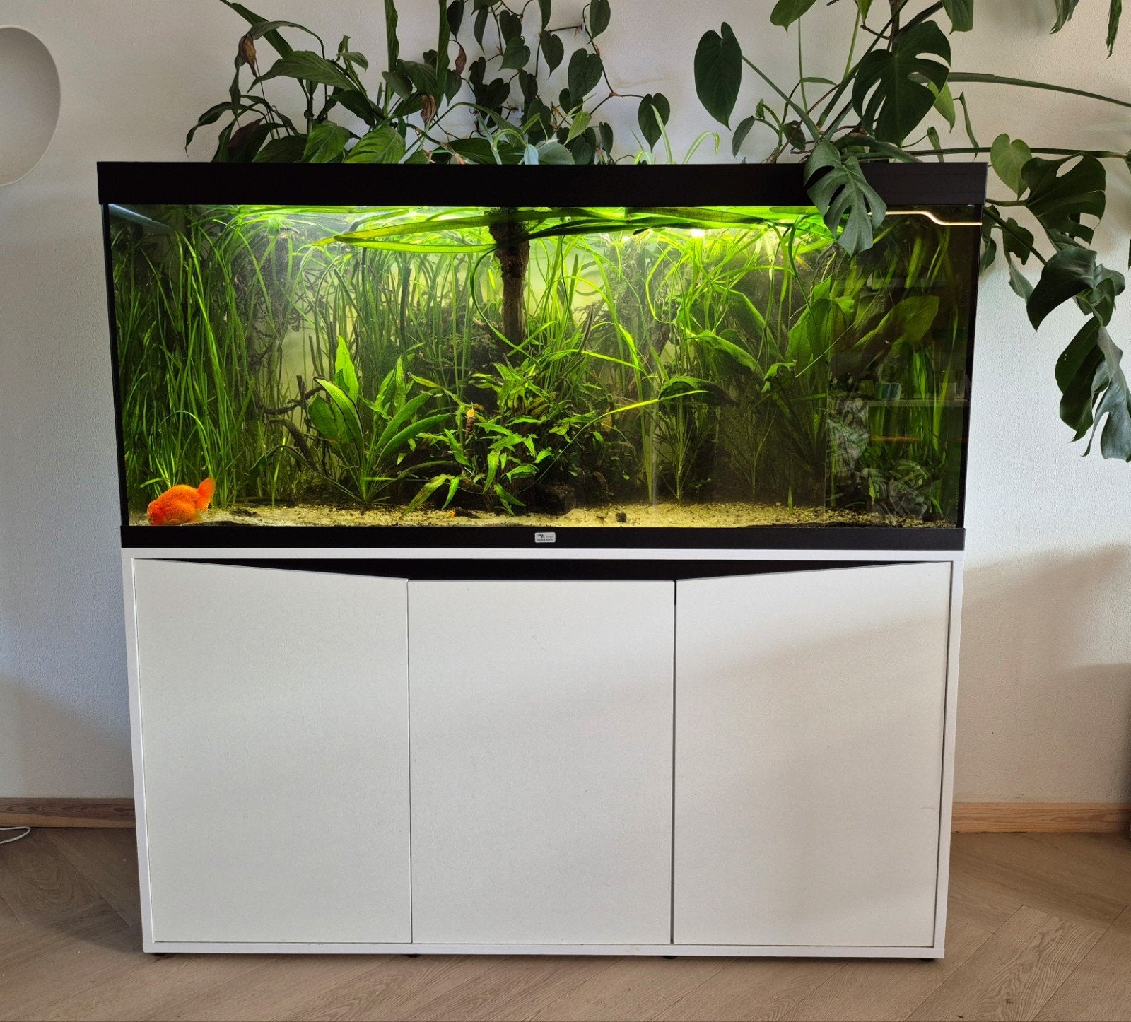 Aquatlantis Volga 450l aquarium wit + Luminus led controller, Ophalen, Aquatlantis, App-bediening, Zo goed als nieuw