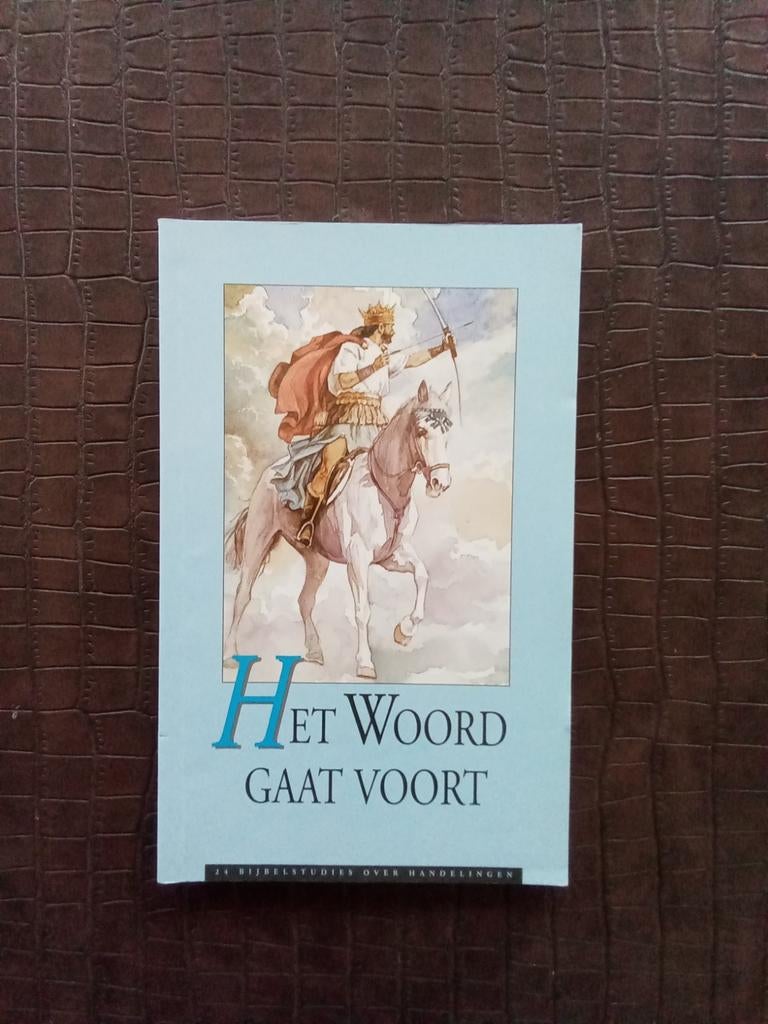Het Woord Gaat Voort - J.H. Mauritz, Ophalen of Verzenden