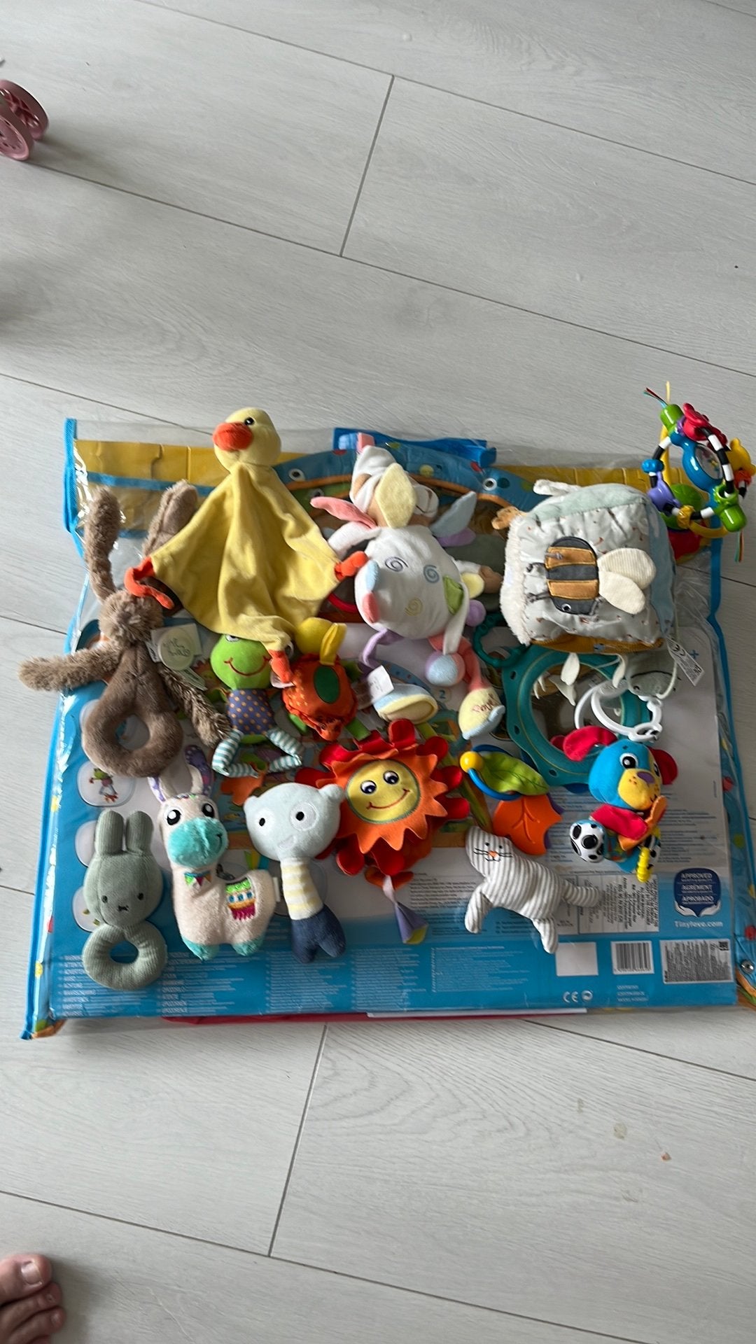 Tiny Love Gymini Sunny Day Speelkleed Babygym, Ophalen of Verzenden, Zo goed als nieuw, Speelkleed