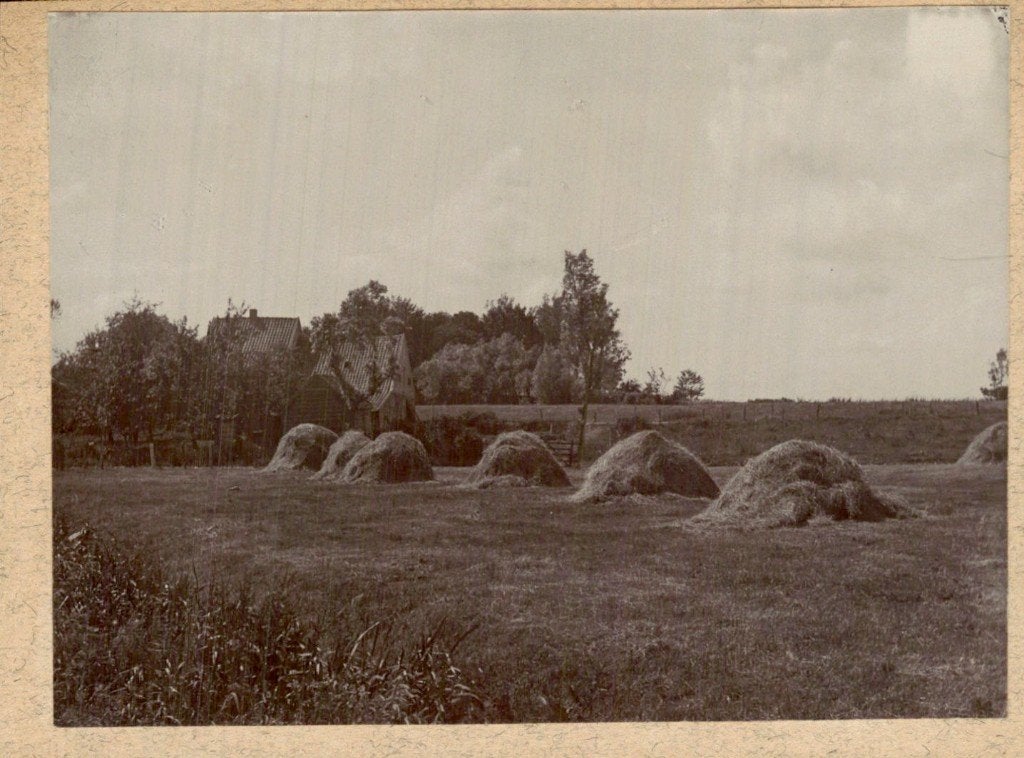 Rotterdam - Foto - Kralingen, Ophalen of Verzenden, Voor 1920, Zuid-Holland