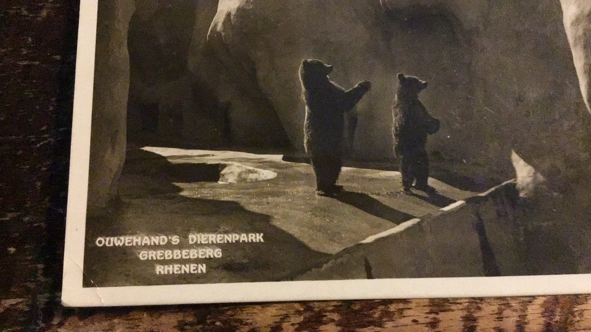 Rhenen- Ouwehand’s Dierenpark- Grebbeberg—1933, Verzamelen, Ophalen of Verzenden, 1920 tot 1940, Utrecht