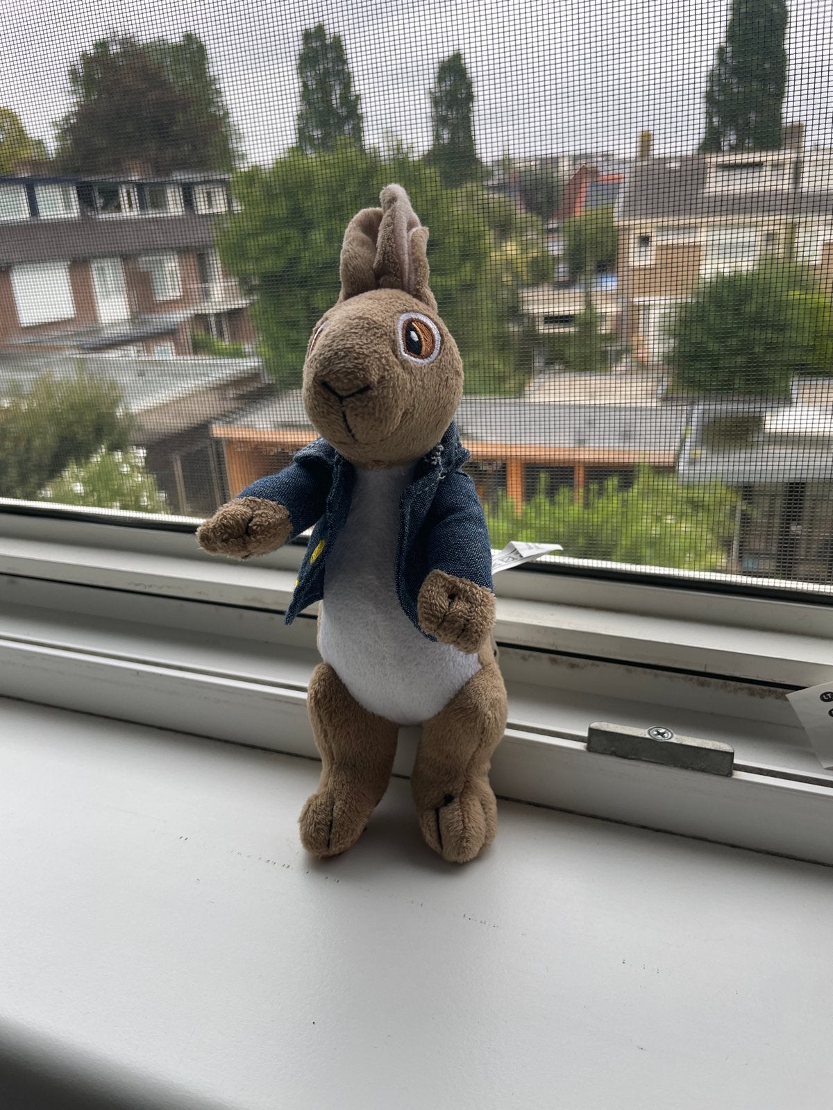 Knuffel Peter Rabbit (Pieter Konijn), Overige merken, Overige karakters, Konijn, Ophalen of Verzenden