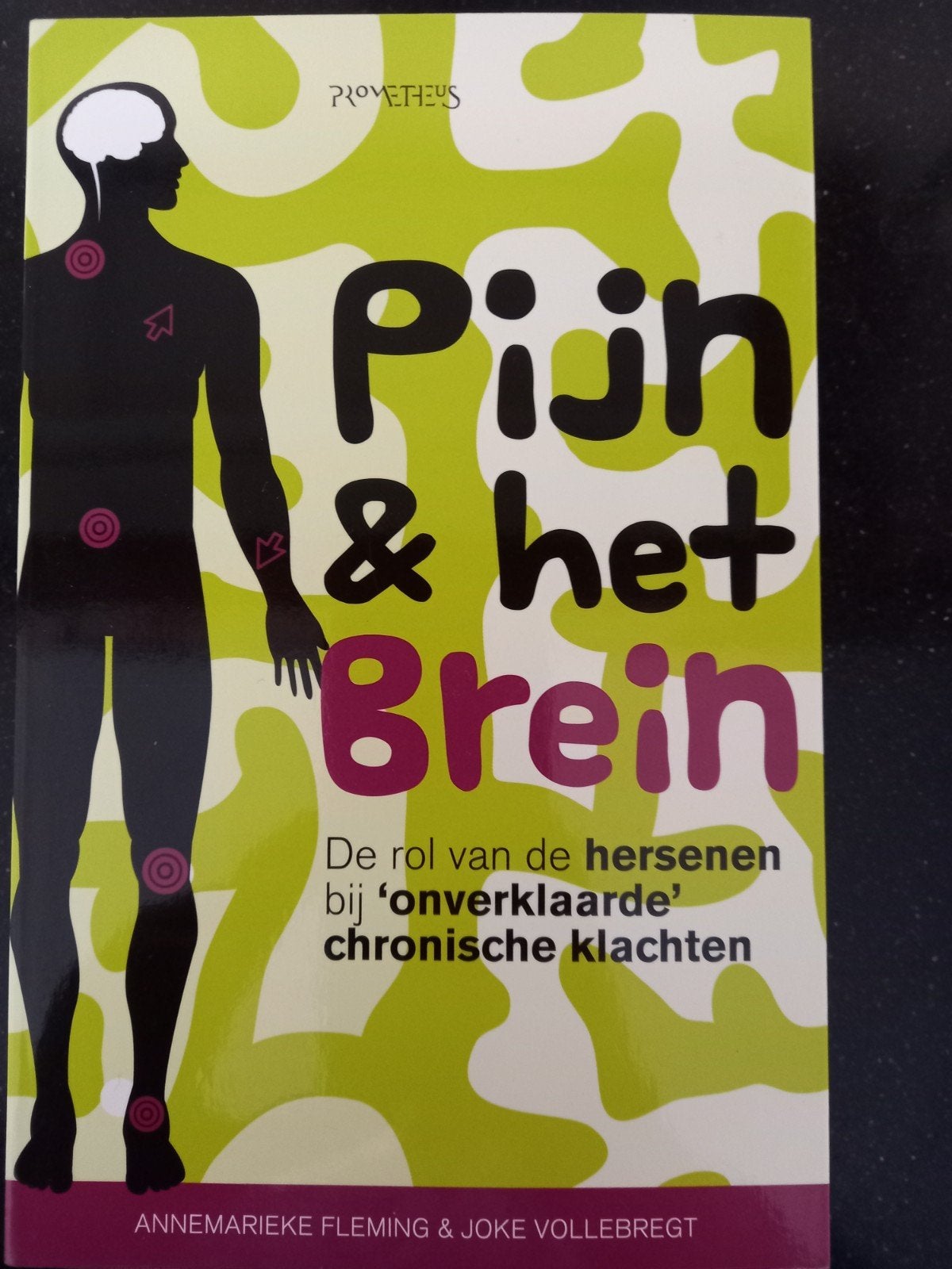 Joke Vollebregt - Pijn & het brein, Joke Vollebregt; Annemarieke Fleming, Ophalen of Verzenden, Zo goed als nieuw, Gezondheid en Conditie