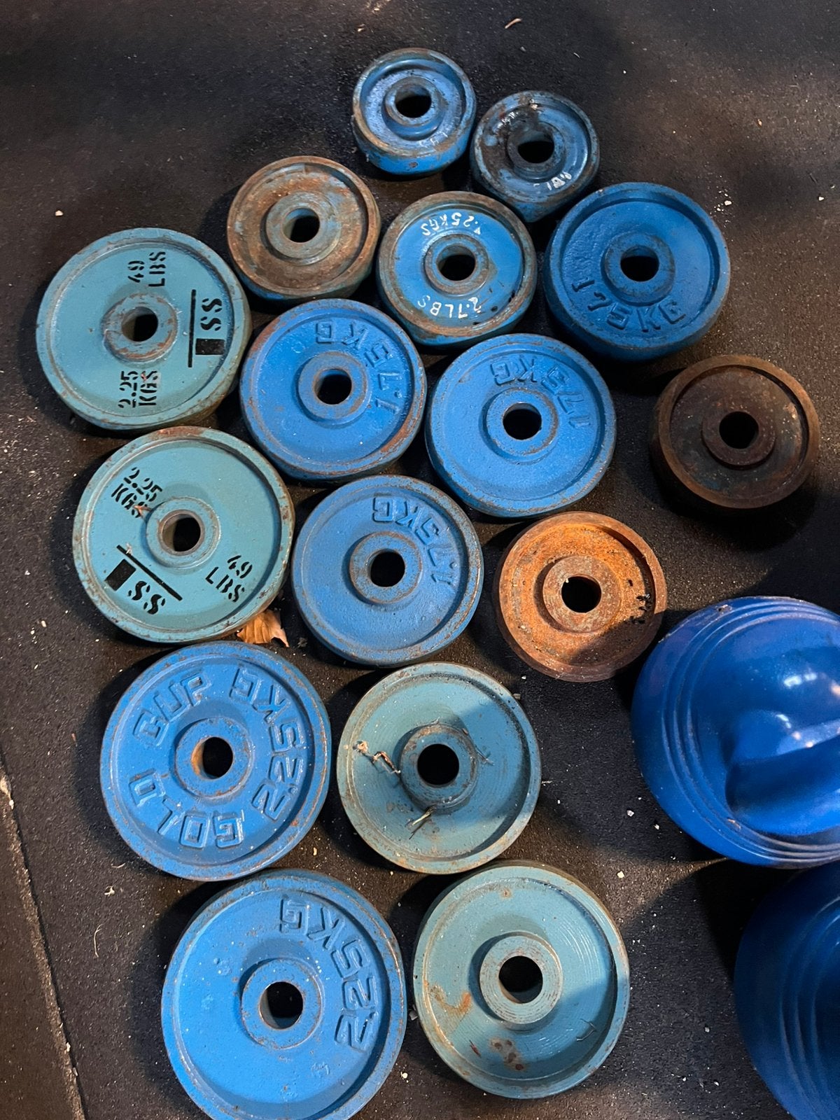 28 mm halterschijven, Ophalen of Verzenden, Zo goed als nieuw