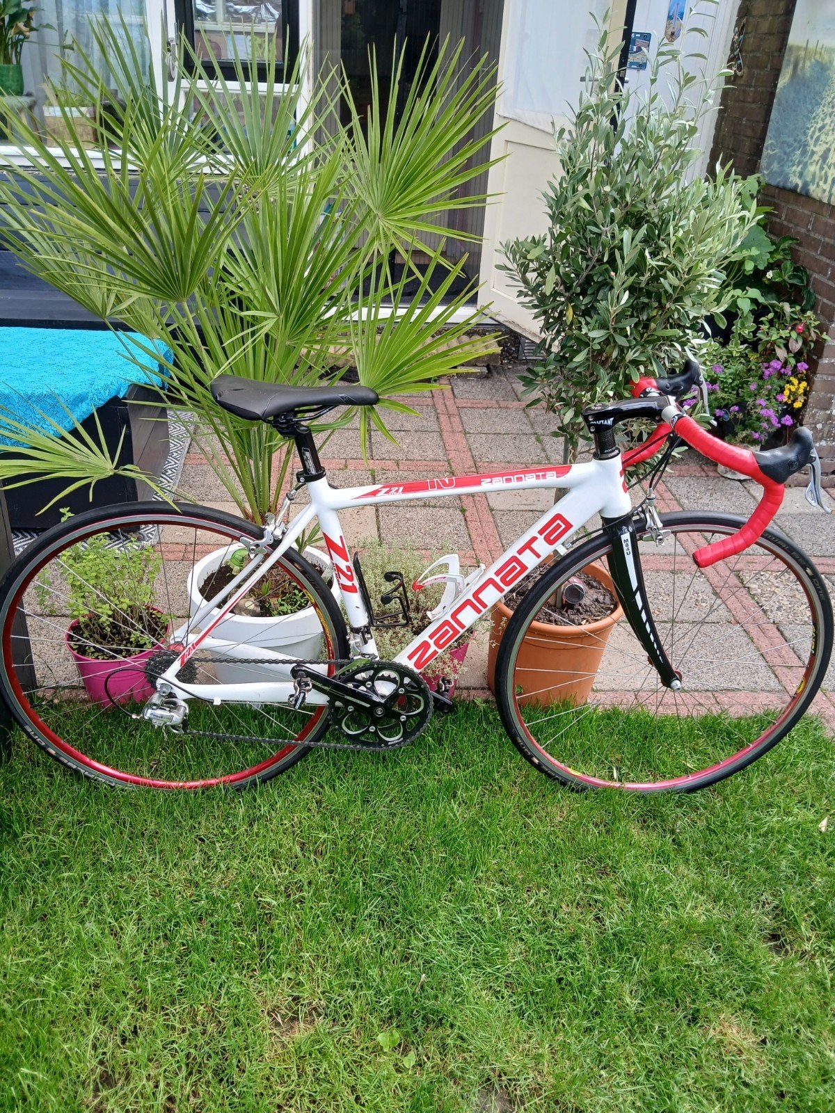Zannata Z21 Racefiets - Wit/Rood, Campagnolo, Ophalen
