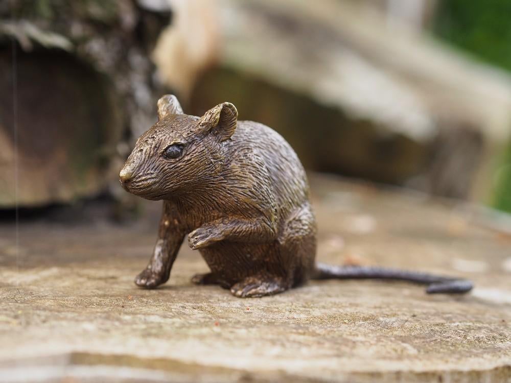MUIZEN / MUIS / 2 MODELLEN, Dierenbeeld, Nieuw, Info@huisentuindecoratiemarie.nl, Huis en tuin decoratie marie