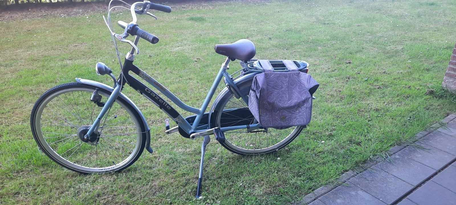 Gazelle Esprit damesfiets met fietstassen 53 inch, Ophalen