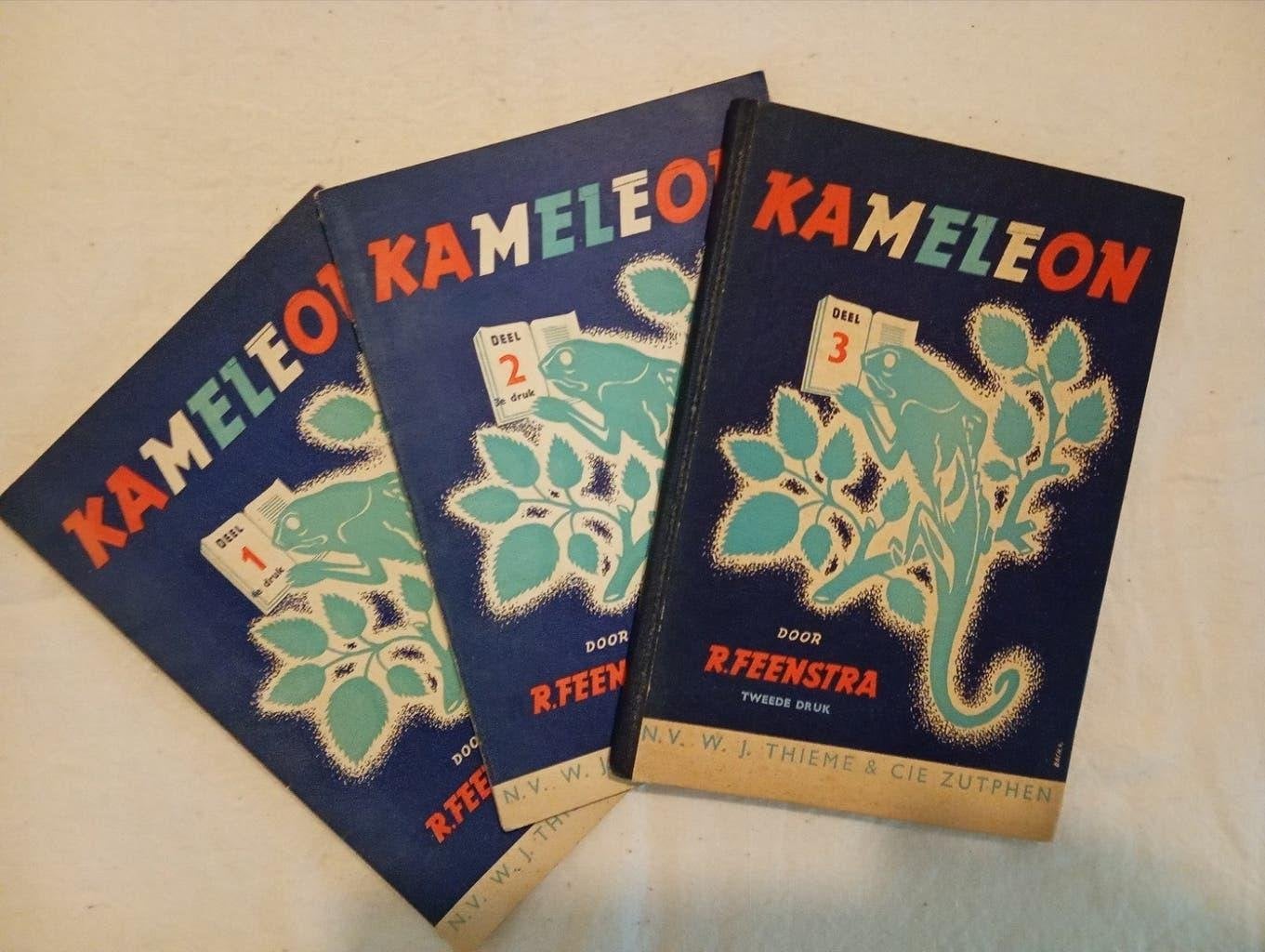 retro kinderboekjes Kameleon van R Feenstra voor de 5de klas, Ophalen of Verzenden, Gelezen, Fictie algemeen