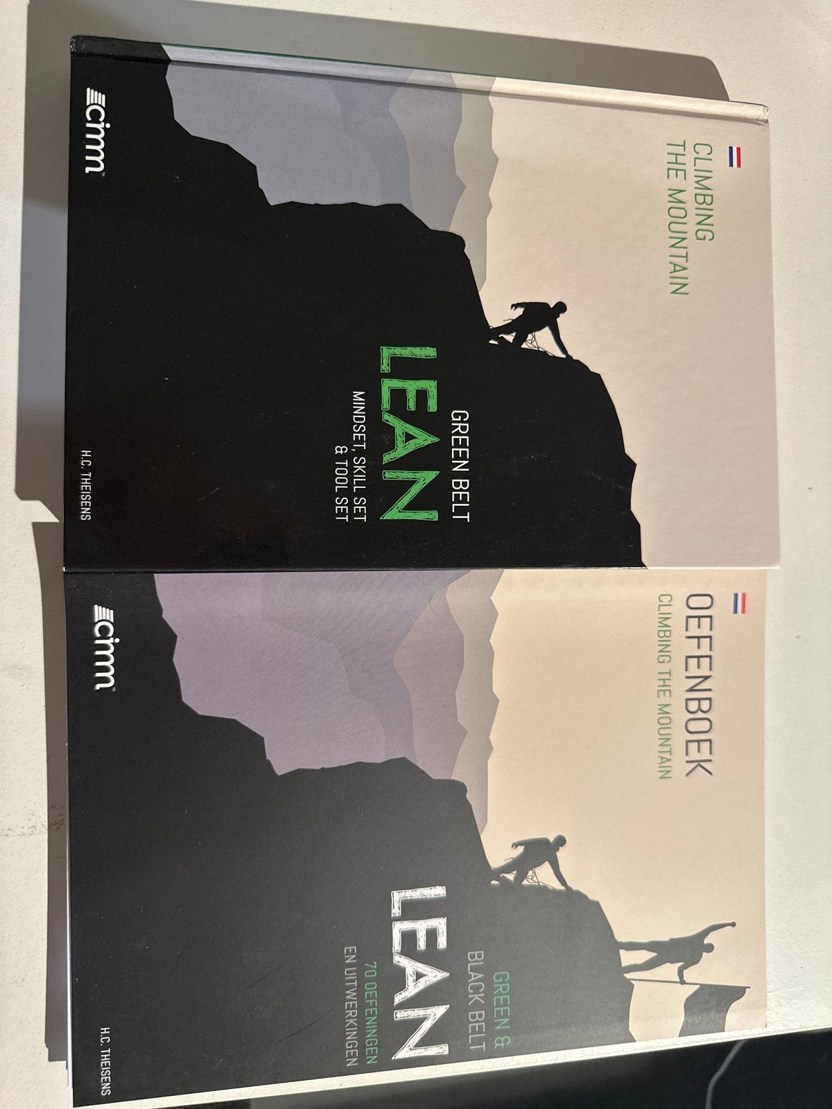 Lean Green Belt Boeken: Theorie en Oefenboek, Boeken, Ophalen of Verzenden, Gamma, Zo goed als nieuw, HBO