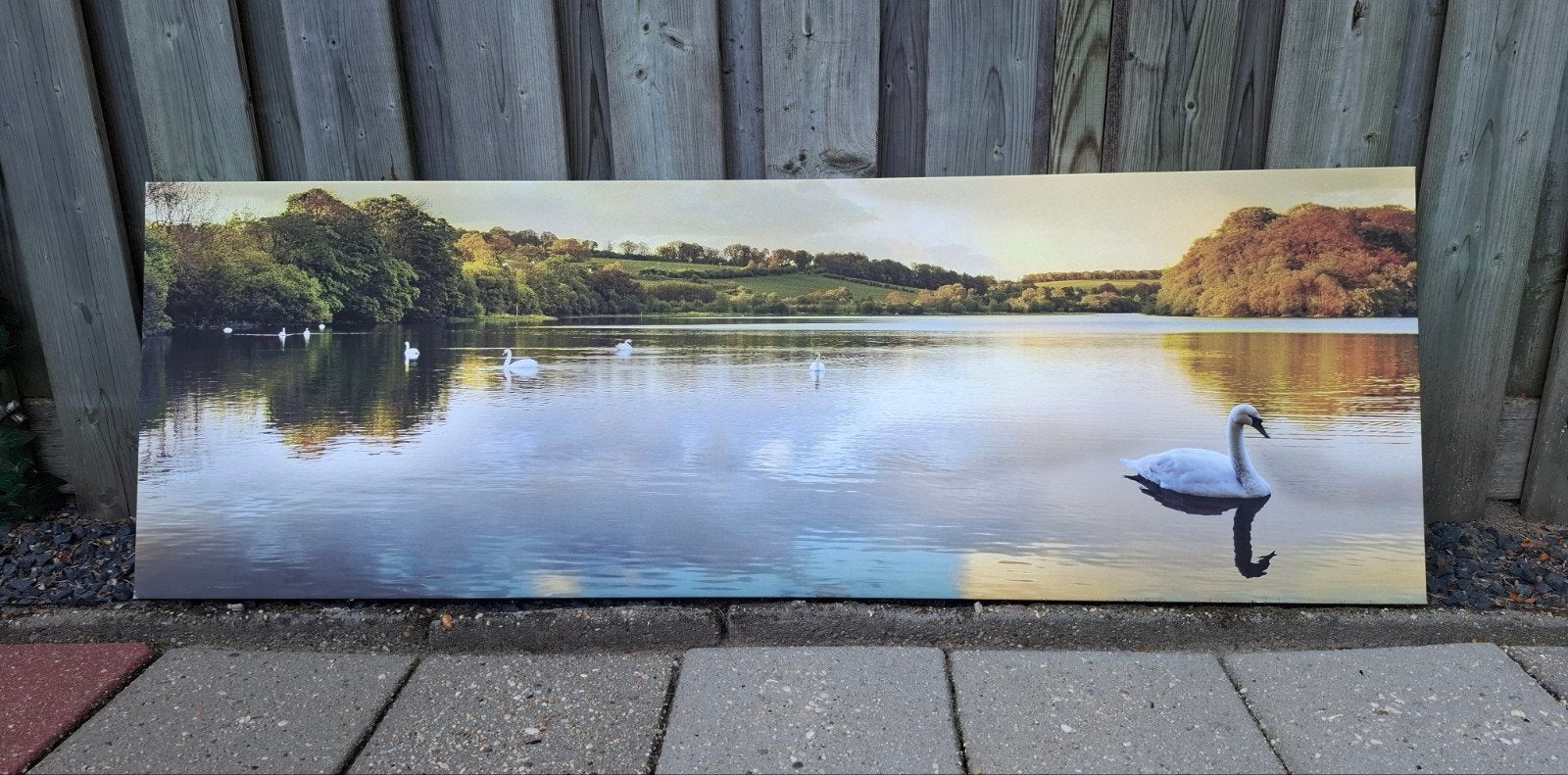 “Grote wanddecoratie / fotoprint op hout – zwaan op meer”, Ophalen