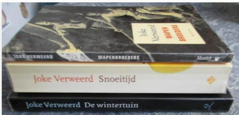 Joke Verweerd -- verschillende titels à 2,00, Ophalen of Verzenden, Zo goed als nieuw