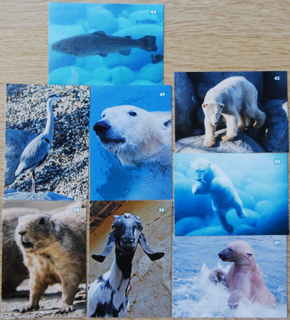 55 stickers Wildlands adventure Zoo Emmen, Albert Heijn, Ophalen of Verzenden