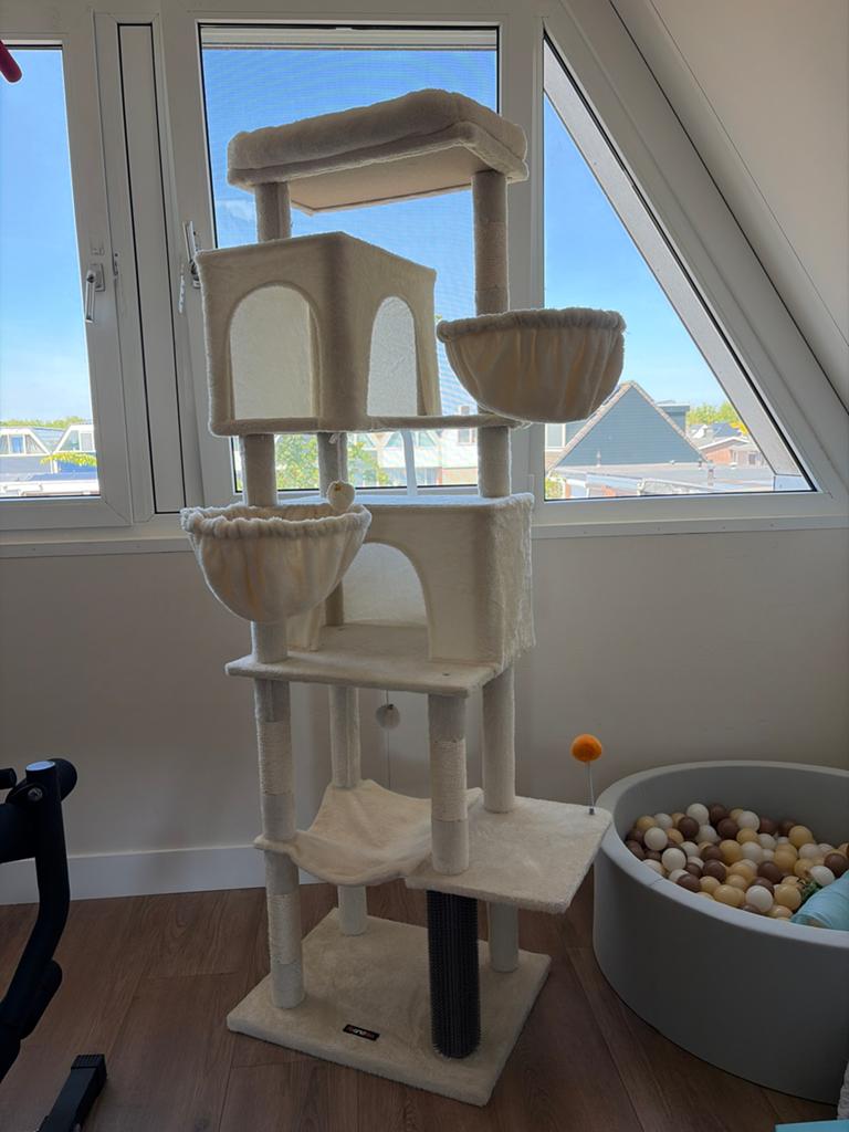 Krappaal, bijna nieuw, Dieren en Toebehoren, Katten en Kittens | Overige Katten, Kater