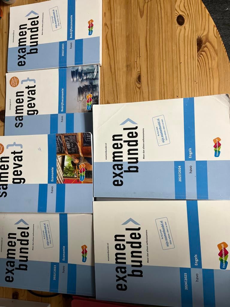 Examenbundel & Samengevat havo Economie, Bedrijfseconomie, E, Ophalen of Verzenden, Gamma, Gelezen, MBO