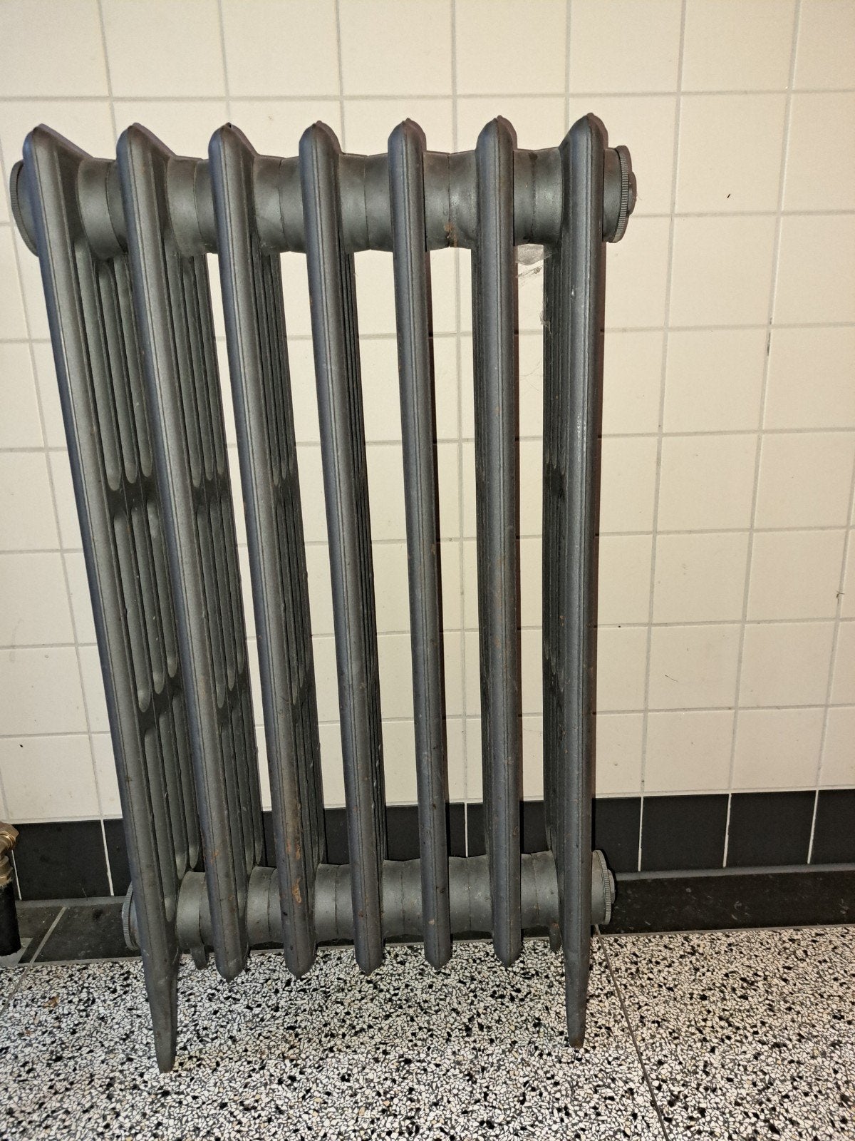 Gietijzeren radiator - Gebruikt, Ophalen, 30 tot 80 cm, Radiator, Minder dan 60 cm