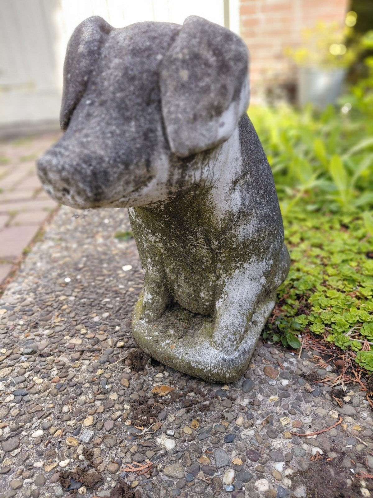 Betonnen varken, Tuin en Terras, Tuinbeelden, Ophalen