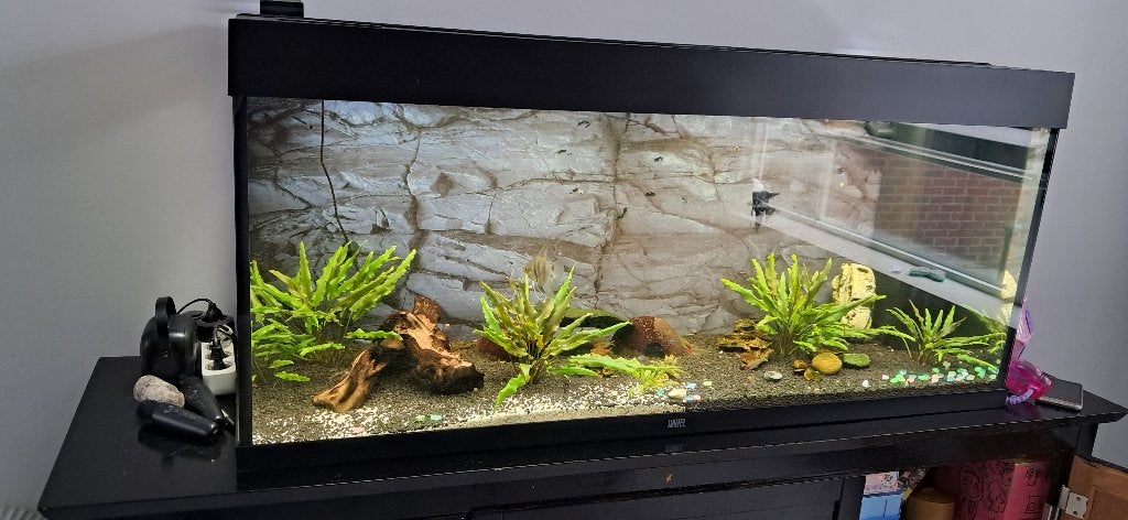 Juwel rio aquarium 240 L, Dieren en Toebehoren, Vissen | Aquaria en Toebehoren, Ophalen, Zo goed als nieuw, Leeg aquarium