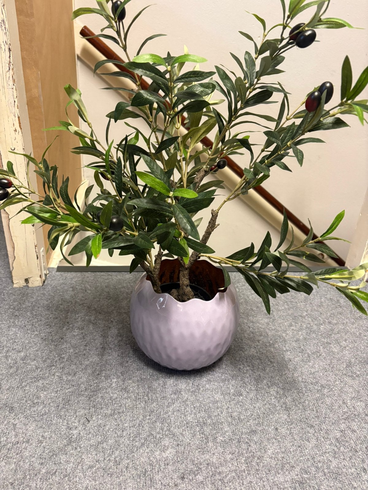 Kunst olijfplant met pot zgan, Ophalen, Zo goed als nieuw